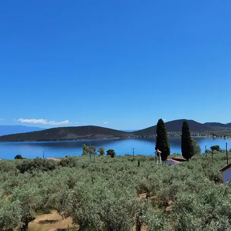 Semesterbostad Elaion Thea2-nies