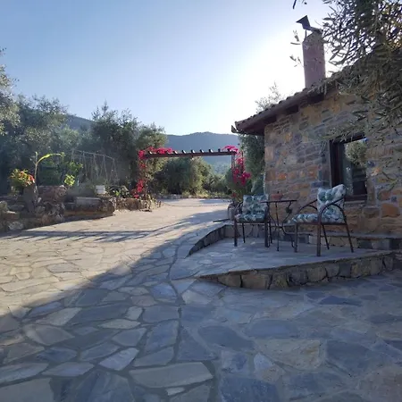 Elaion Thea2-nies * Sourpi