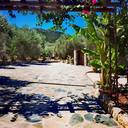 בית נופש Elaion Thea2-nies *